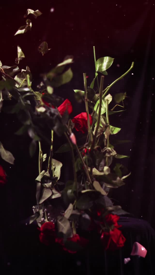 V-Day Teaser